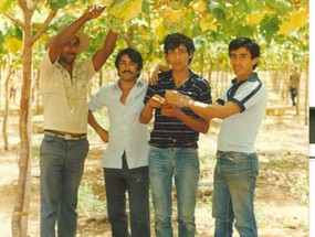 Trabajadores cosechando uva