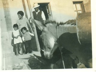 Familia Marín Familia Marín