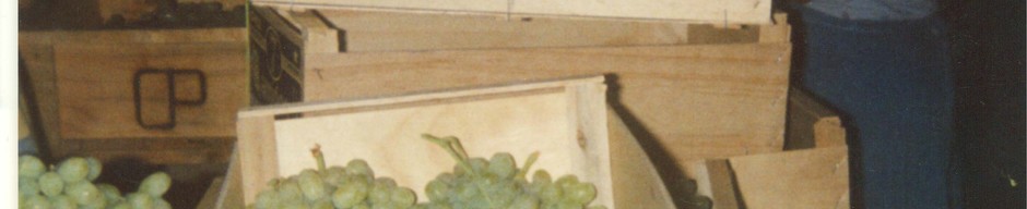 Uva de exportación Uva de exportación