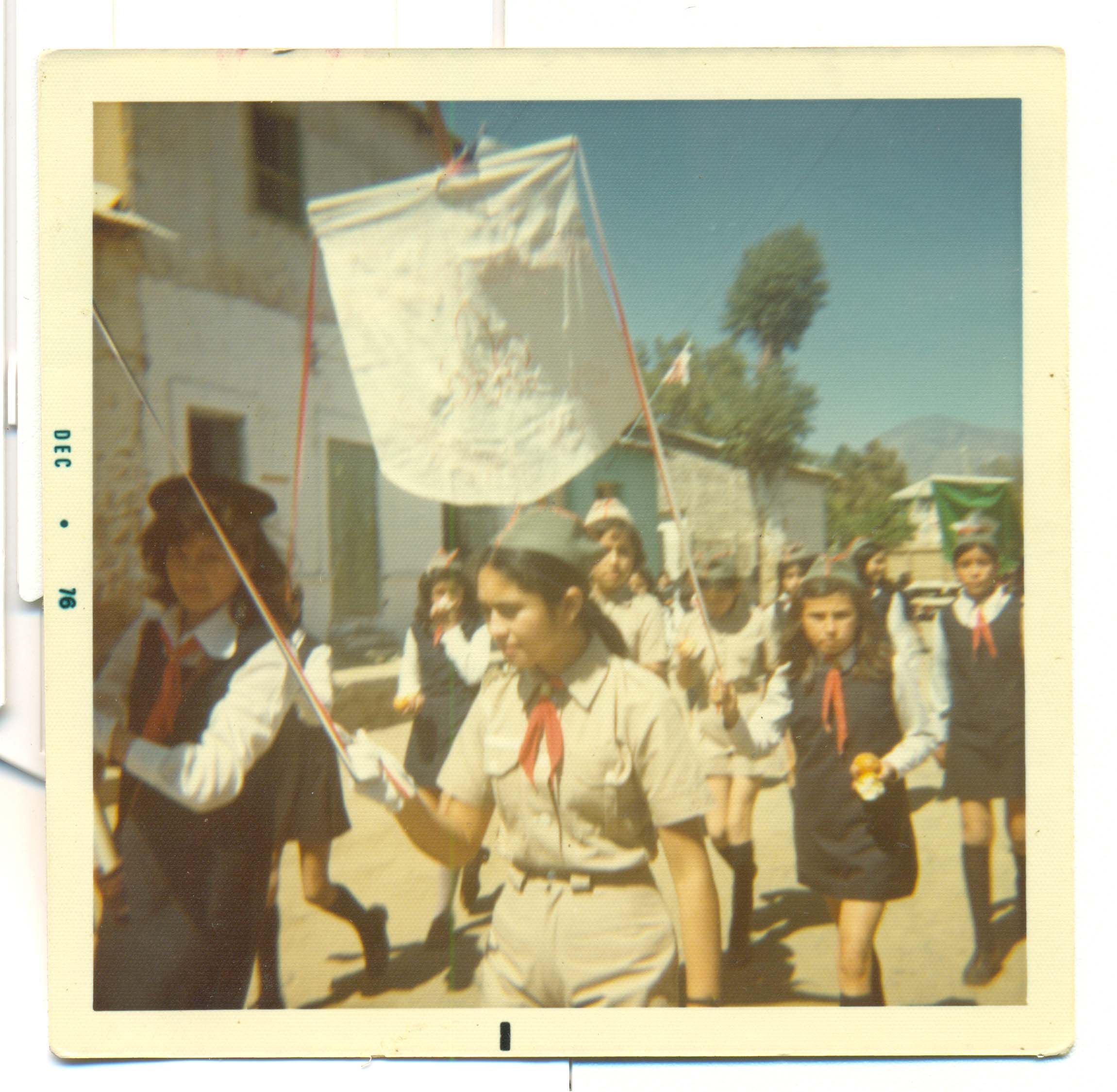 Desfile de la brigada de Boy Scouts