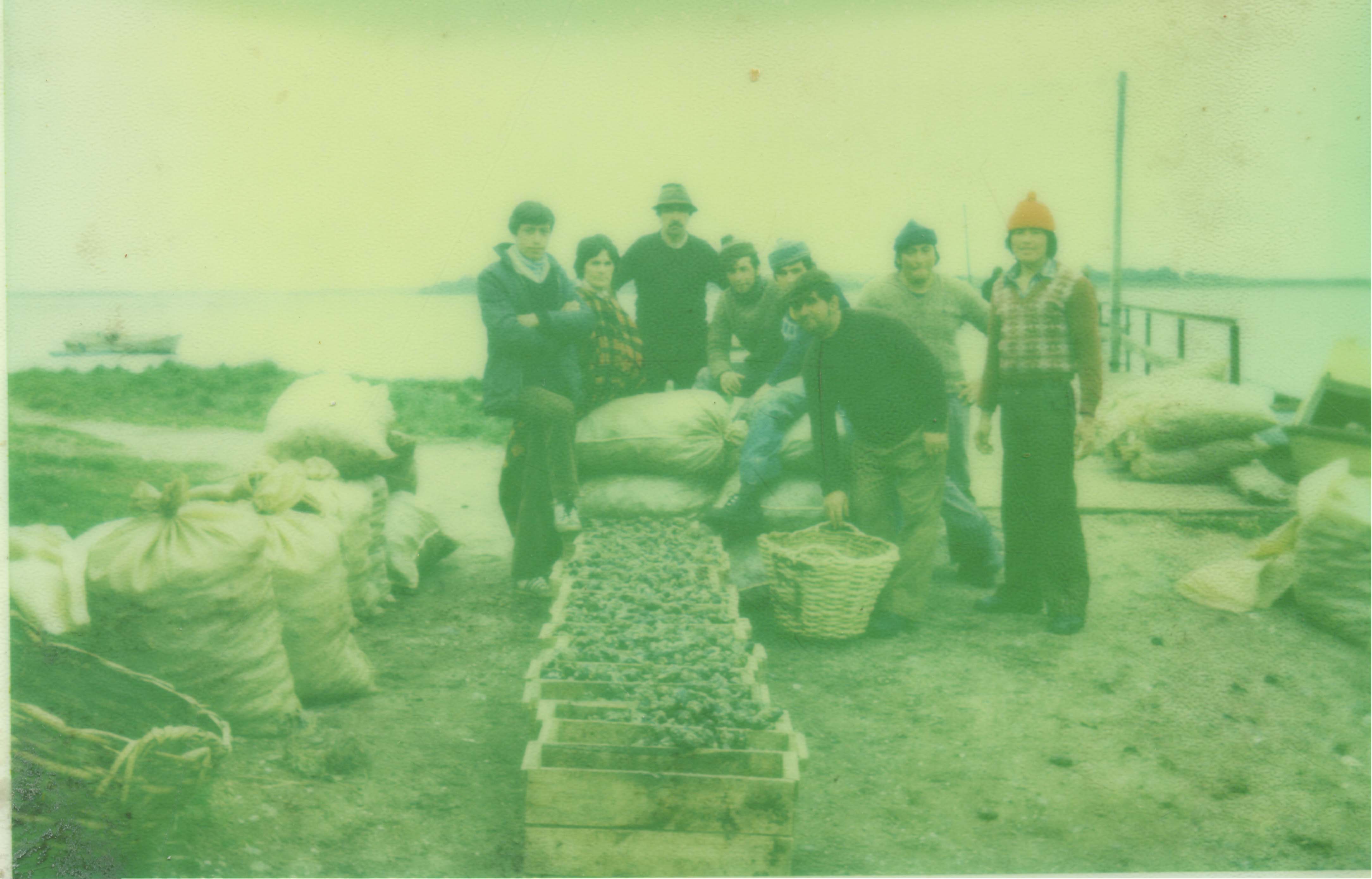 Recolectores de mariscos