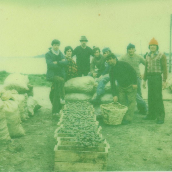 Recolectores de mariscos