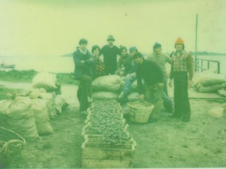 Recolectores de mariscos