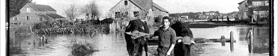 Inundación de la ribera norte del río Maullín