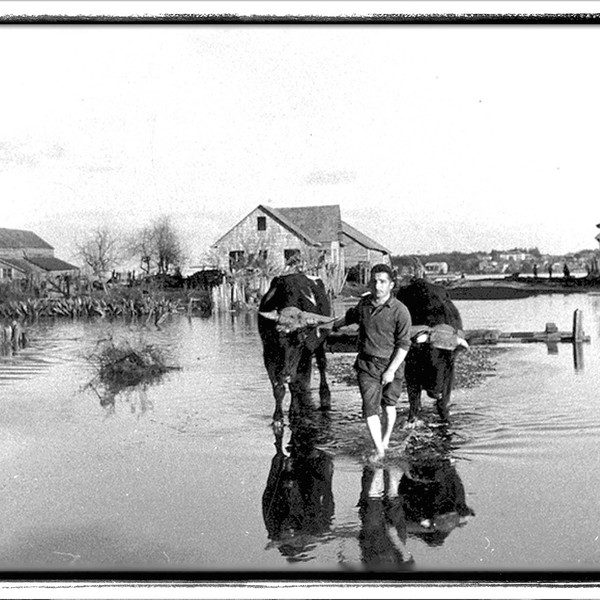 Inundación de la ribera norte del río Maullín