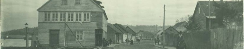 Calle Pedro Montt de Quellón