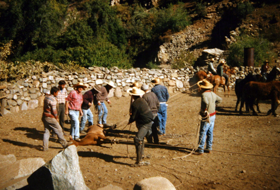 Rodeo de La Pastora