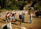 Rodeo de La Pastora