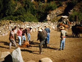 Rodeo de La Pastora