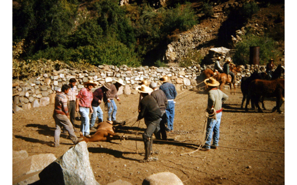 Rodeo de La Pastora