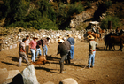 Rodeo de La Pastora