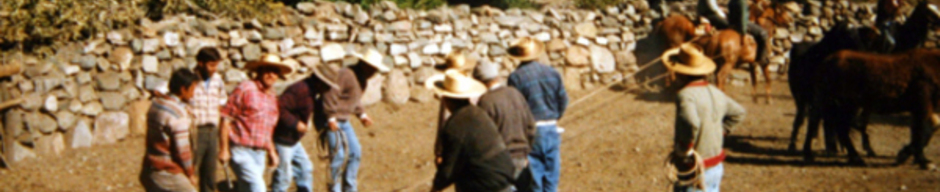 Rodeo de La Pastora