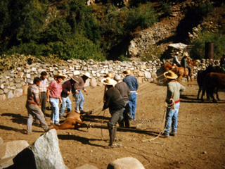 Rodeo de La Pastora