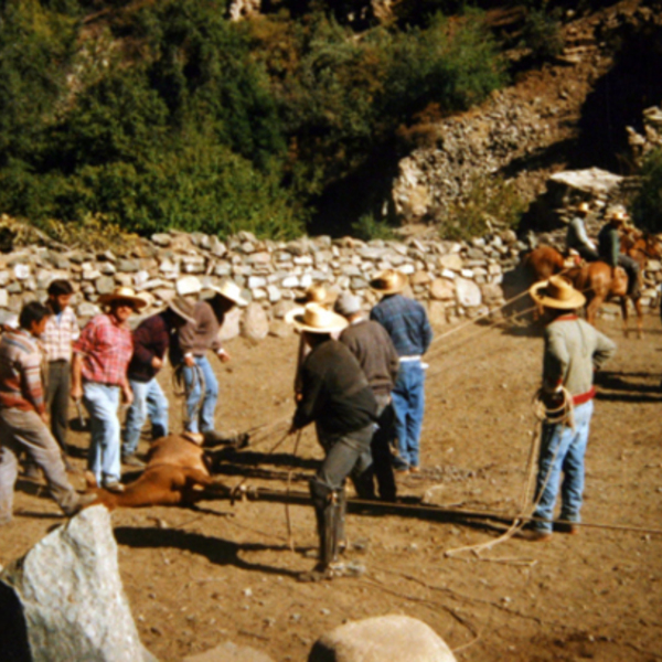 Rodeo de La Pastora