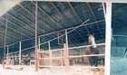Hacienda de la familia Varela Hacienda de la familia Varela