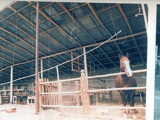  Hacienda de la familia Varela