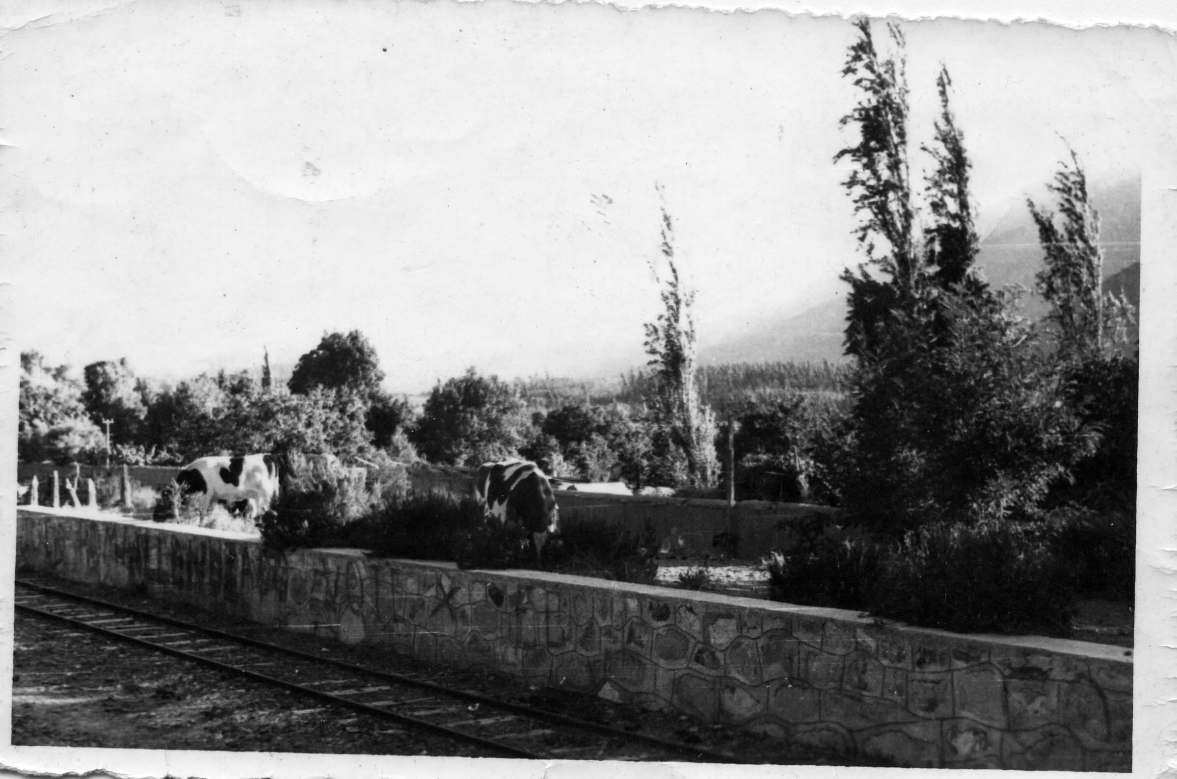 Estación de embarque de Gualliguica