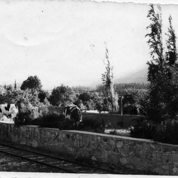 Estación de embarque de Gualliguica Estación de embarque de Gualliguica