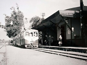 Tren de Vicuña