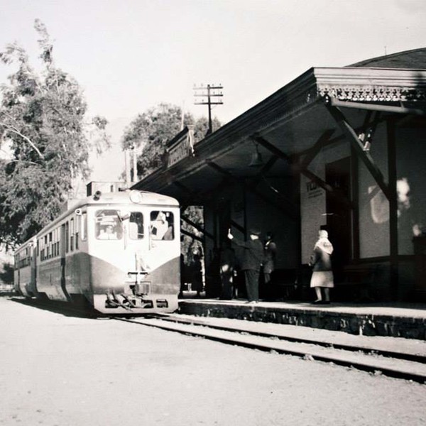 Tren de Vicuña