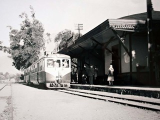 Tren de Vicuña Tren de Vicuña