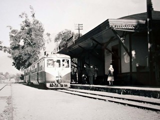 Tren de Vicuña