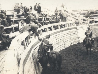 Rodeo en Quemchi