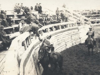 Rodeo en Quemchi Rodeo en Quemchi