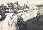 Rodeo en Quemchi