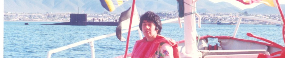 Paseo por la bahía de Coquimbo Paseo por la bahía de Coquimbo
