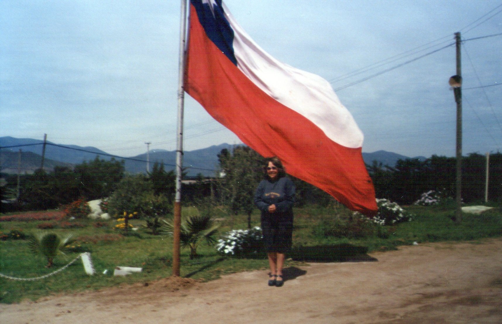 Bandera chilena