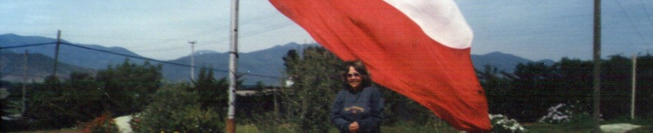 Bandera chilena