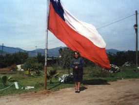 Bandera chilena