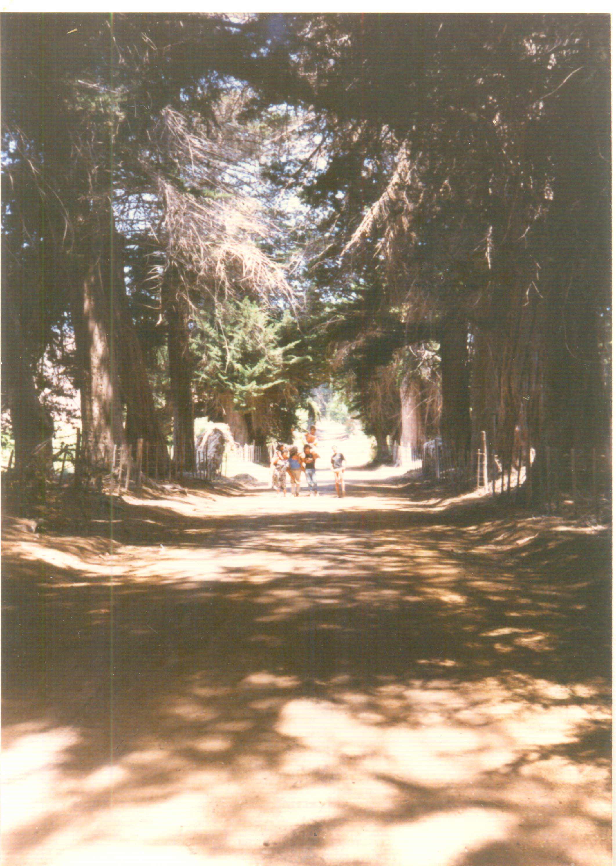 Familia de paseo en la hacienda El Tanque