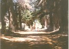 Familia de paseo en la hacienda El Tanque