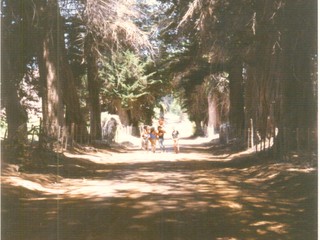 Familia de paseo en la hacienda El Tanque