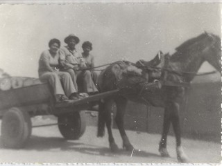 Vendedores de agua