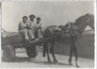 Vendedores de agua Vendedores de agua
