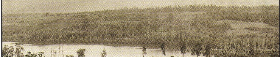 Vista del lago Panguipulli