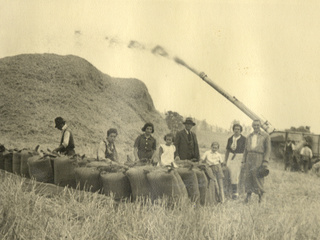 Trilla en la hacienda Panguipulli