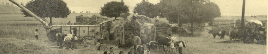 Trilla en la hacienda Panguipulli Trilla en la hacienda Panguipulli