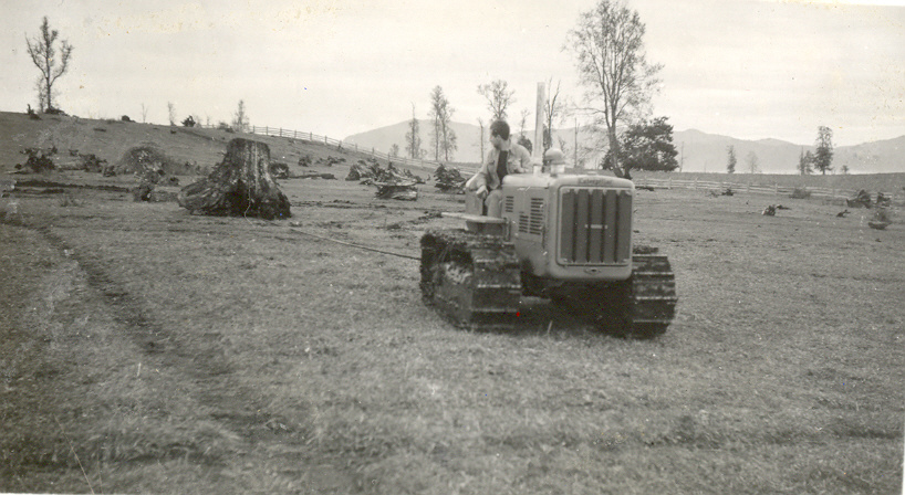 Destronque en la hacienda Panguipulli Destronque en la hacienda Panguipulli