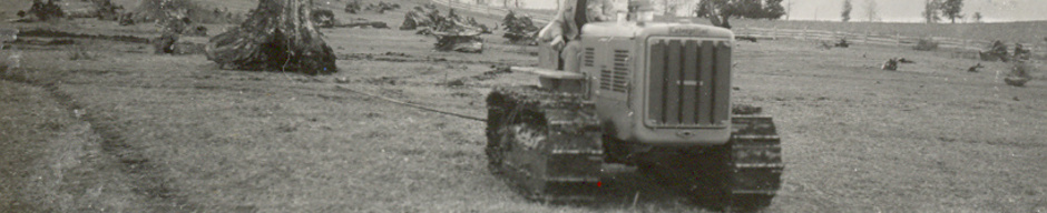 Destronque en la hacienda Panguipulli Destronque en la hacienda Panguipulli