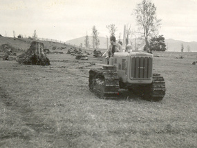 Destronque en la hacienda Panguipulli Destronque en la hacienda Panguipulli