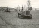 Destronque en la hacienda Panguipulli