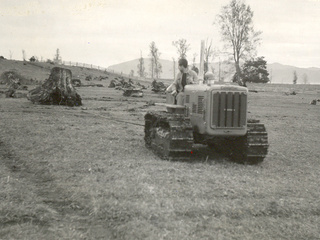 Destronque en la hacienda Panguipulli