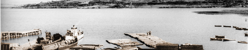 Actividad maderera en el muelle de Panguipulli