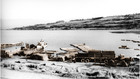 Actividad maderera en el muelle de Panguipulli