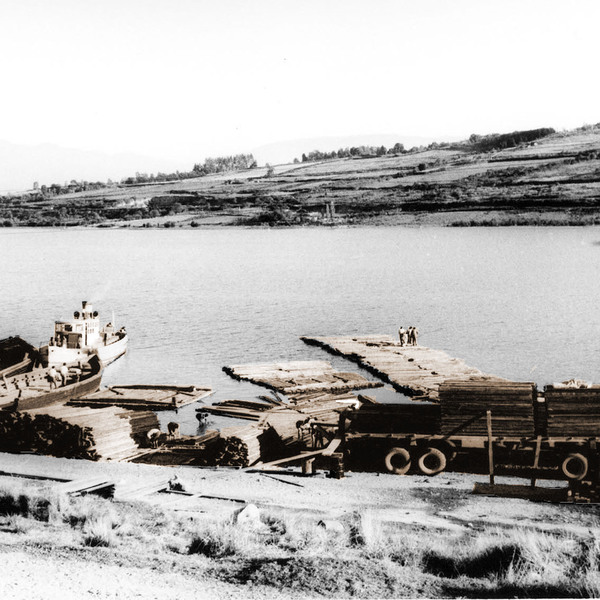 Actividad maderera en el muelle de Panguipulli