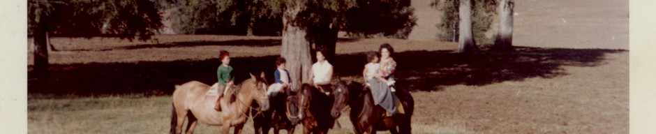 Familia Pérez Rosales Familia Pérez Rosales
